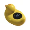 water thermometer, bathtub thermometer, floating thermometer, duck thermometer, water temperature thermometer