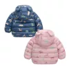 down jacket, baby jacket, hooded jacket, warm jacket