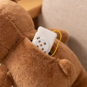 Röstinspelningsbox för gosedjur